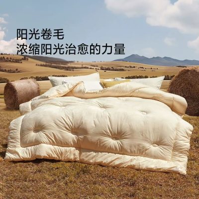 水星家紡澳洲羊毛四季被芯禮品，264.12 元！